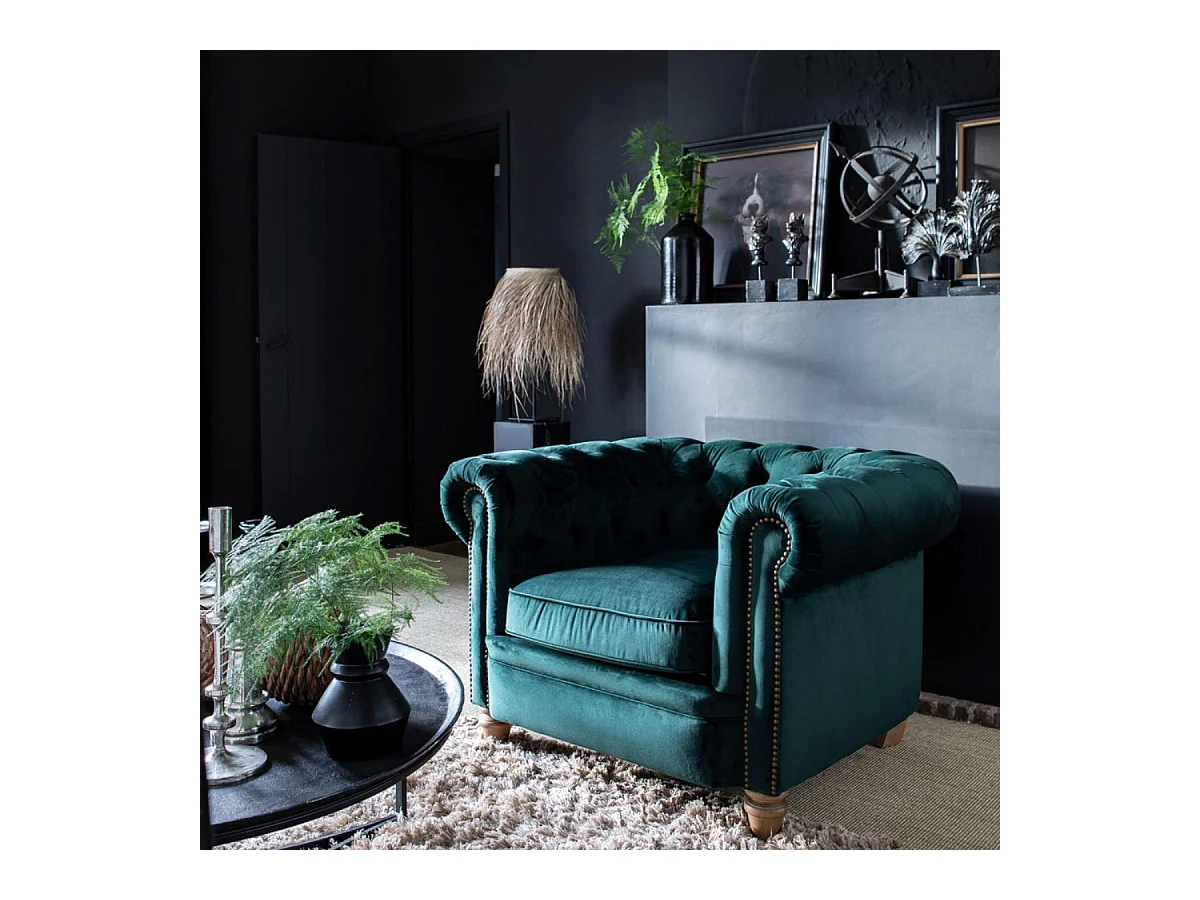 Toile cabinet curiosité chien Bois Multicolore - Chic Interior's