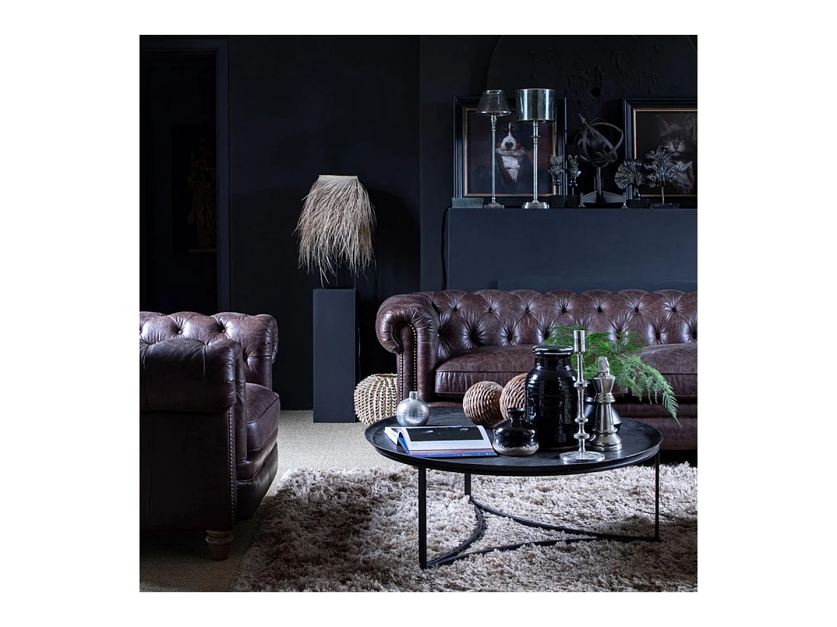 Toile cabinet curiosité chien Bois Multicolore - Chic Interior's