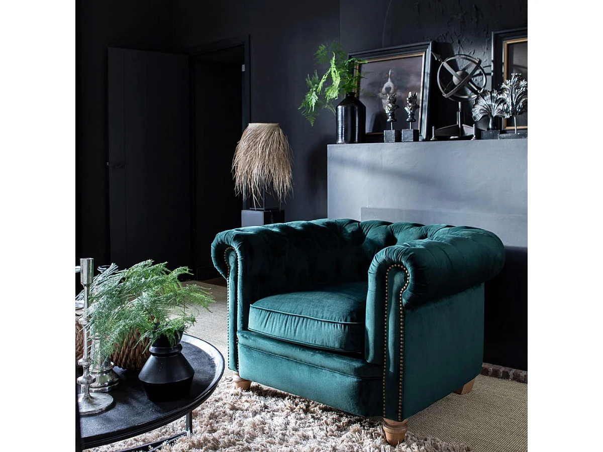 Toile cabinet curiosité chien Bois Multicolore - Chic Interior's