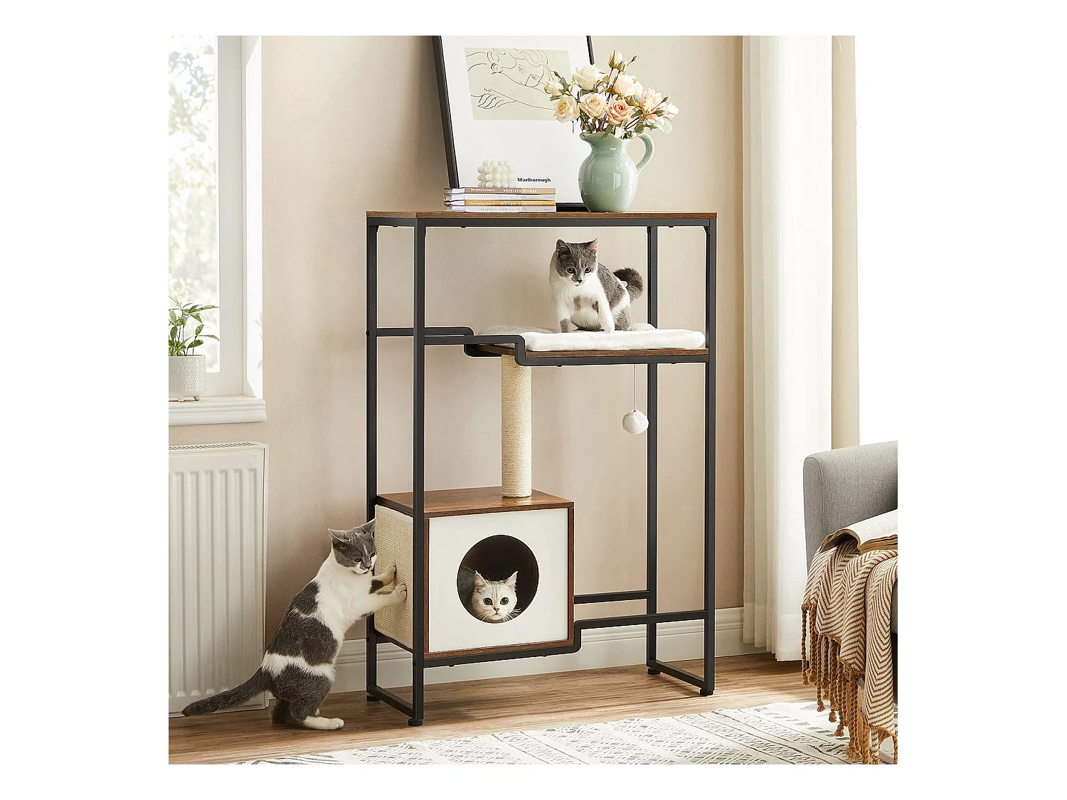 Katzenbaum Spilamberto