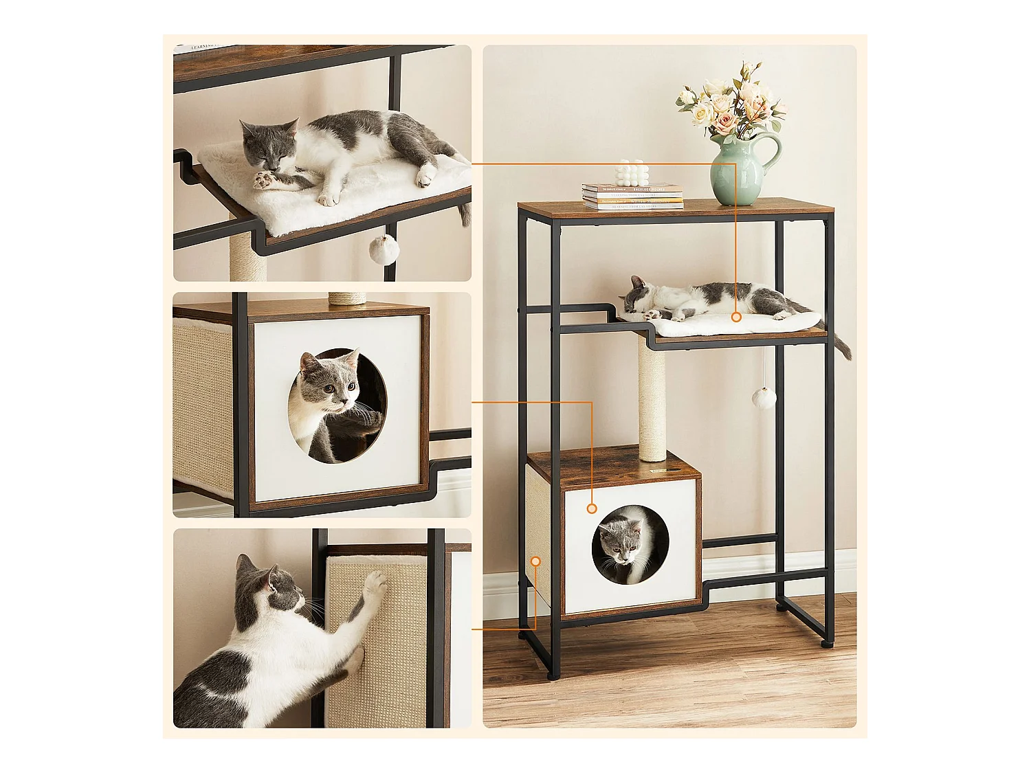 Katzenbaum Spilamberto