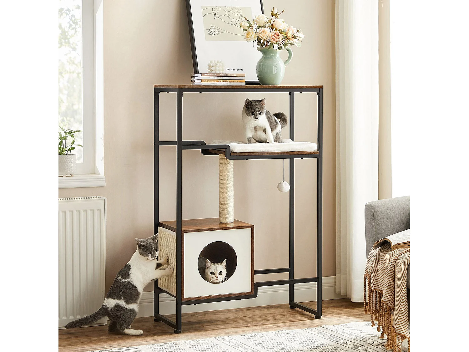 Katzenbaum Spilamberto