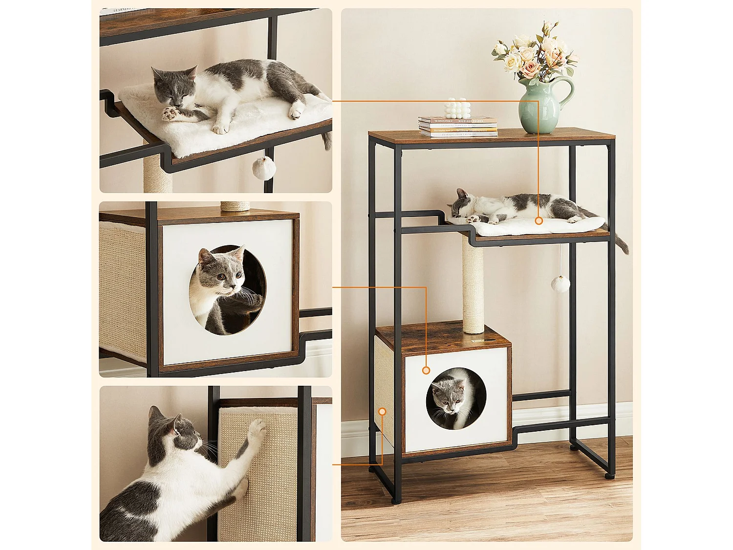 Katzenbaum Spilamberto