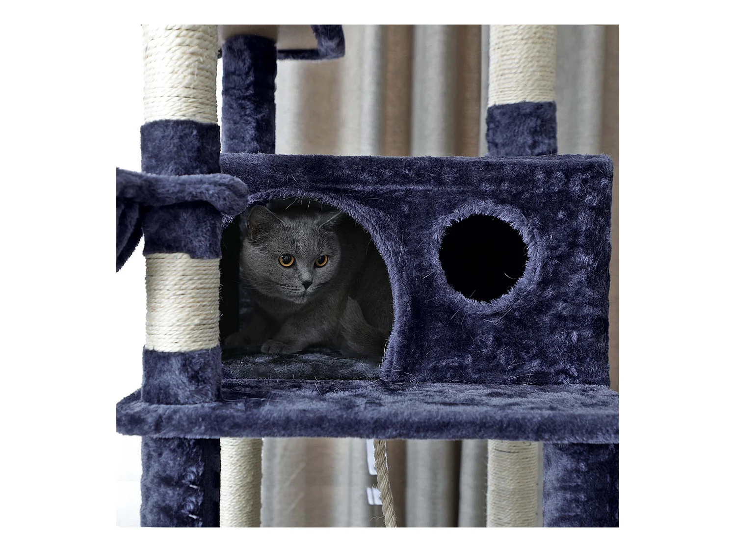 Kratzbaum San Bartolo