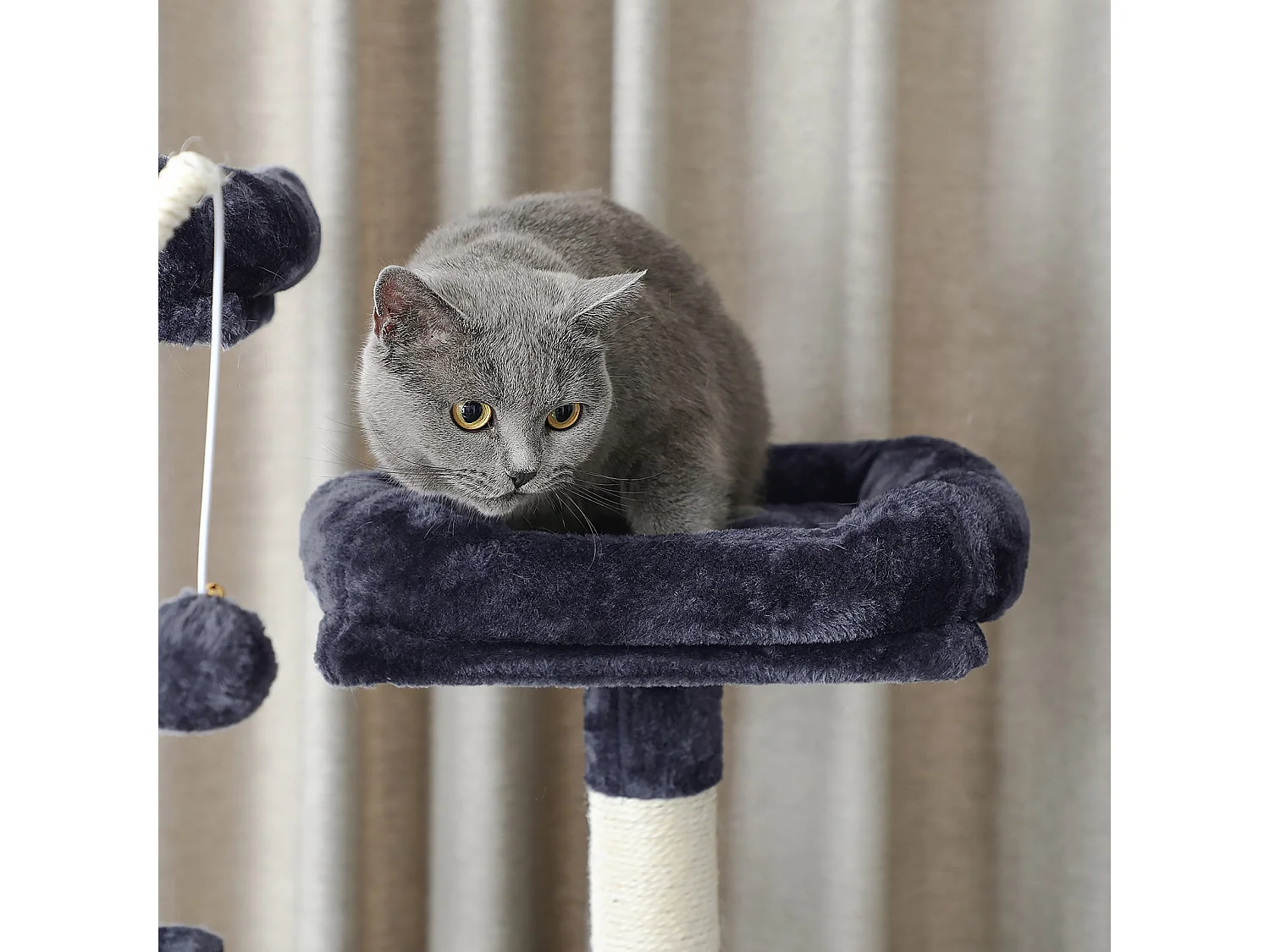 Kratzbaum San Bartolo