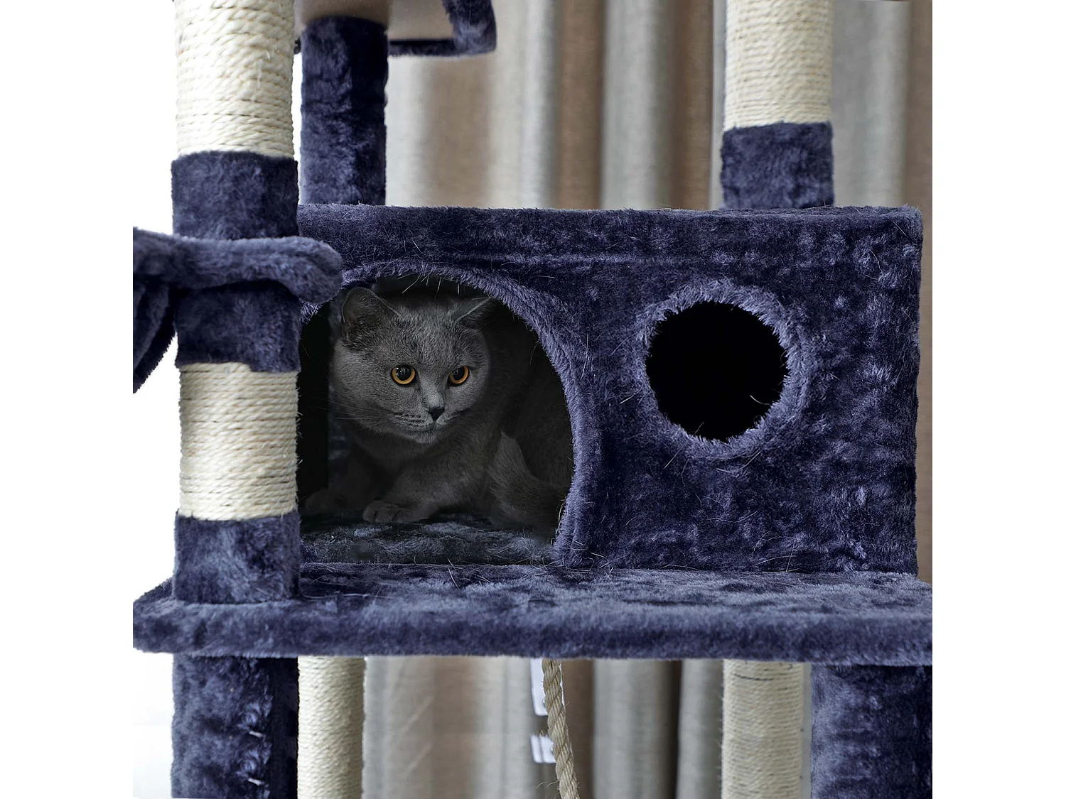 Kratzbaum San Bartolo