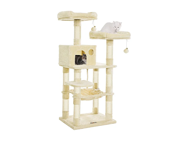 Katzenbaum Neunkirchen