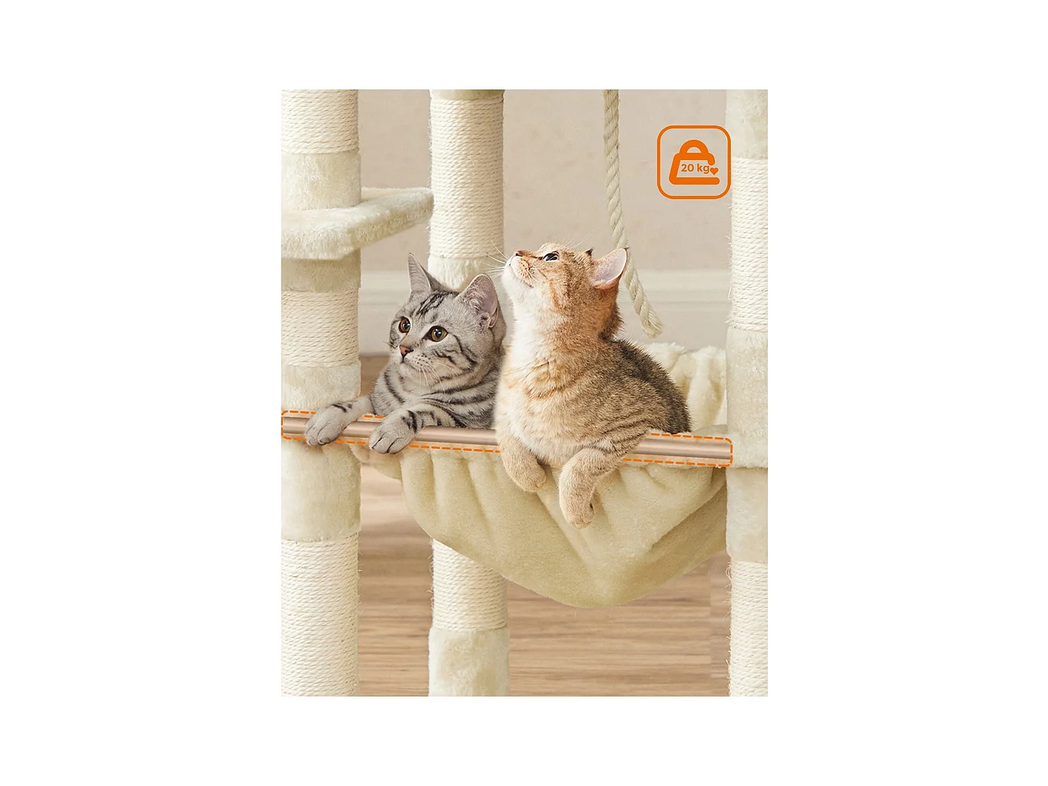 Katzenbaum Neunkirchen