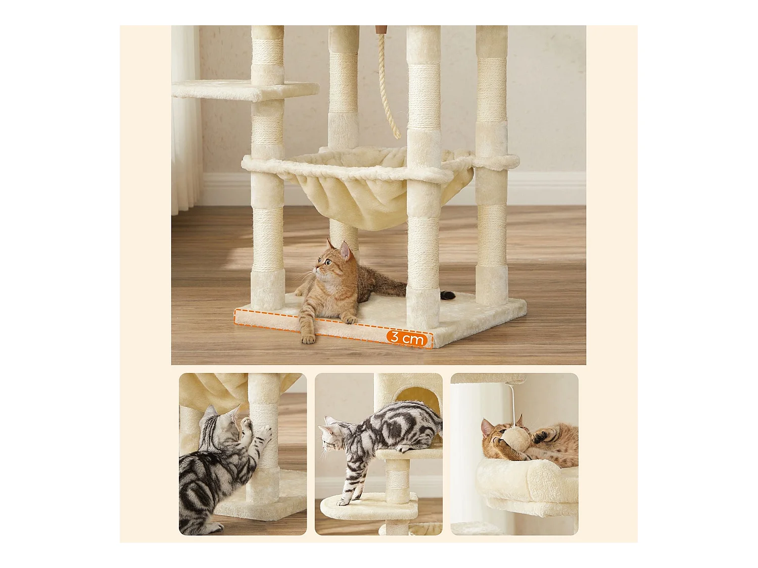 Katzenbaum Neunkirchen