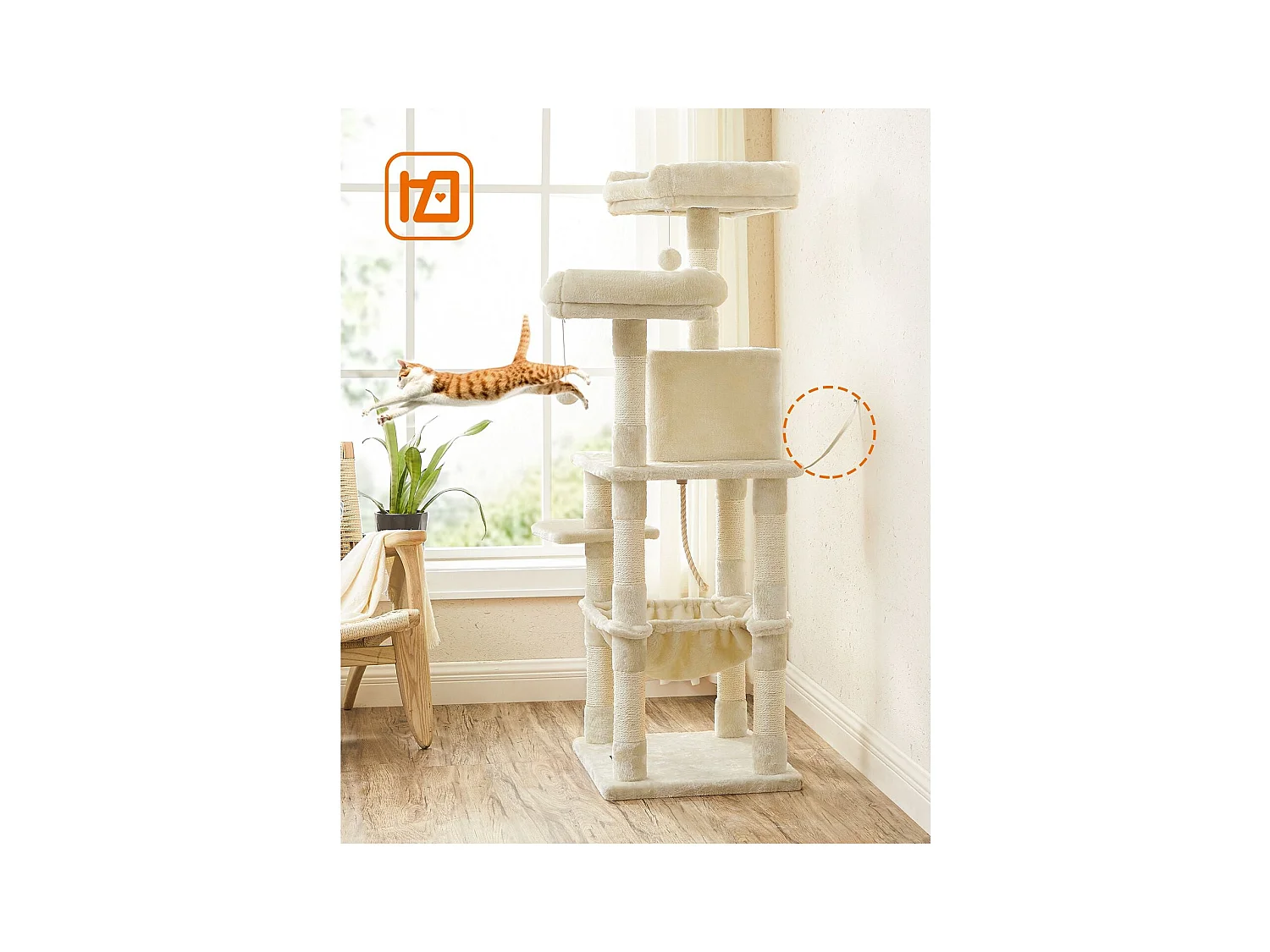 Katzenbaum Neunkirchen