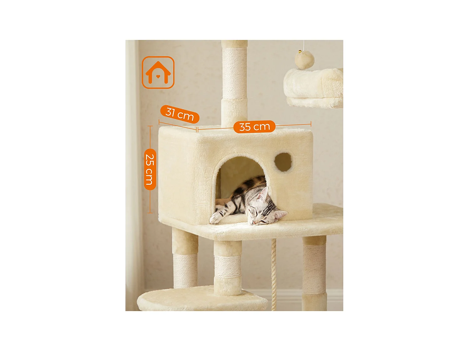 Katzenbaum Neunkirchen