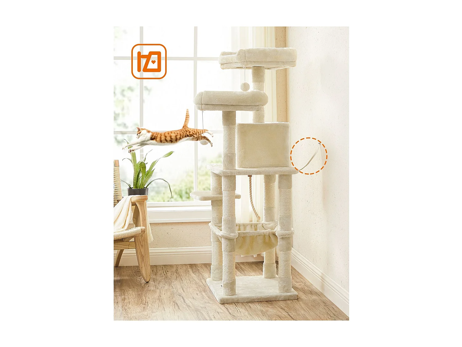 Katzenbaum Neunkirchen