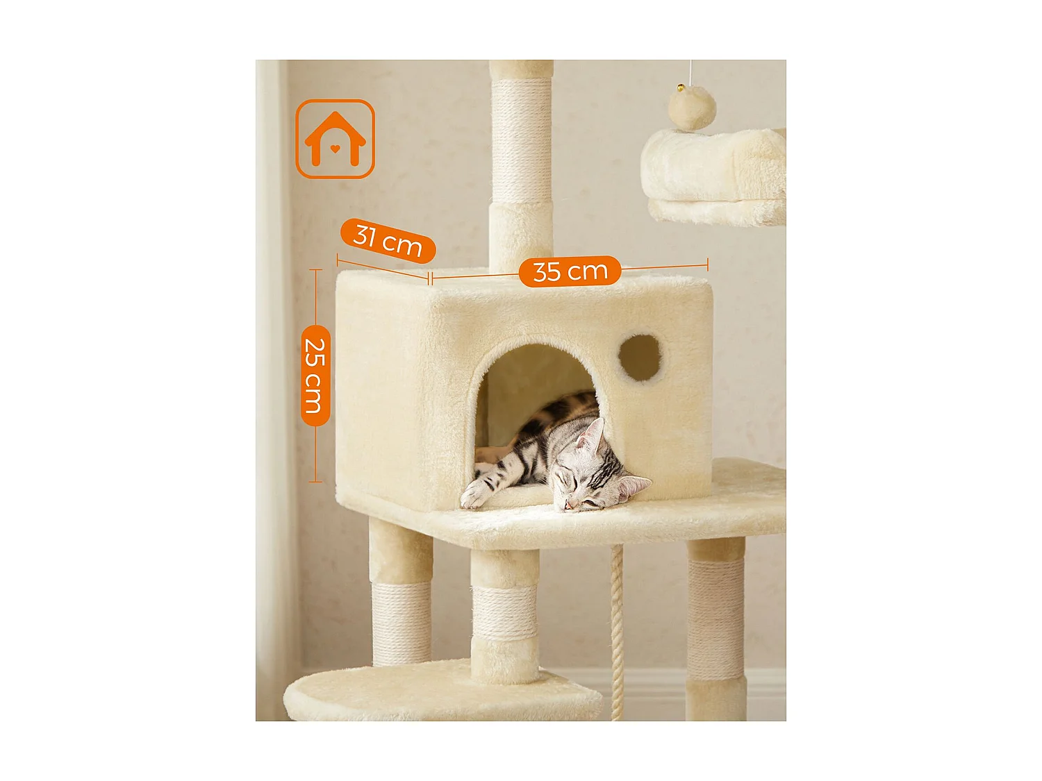 Katzenbaum Neunkirchen