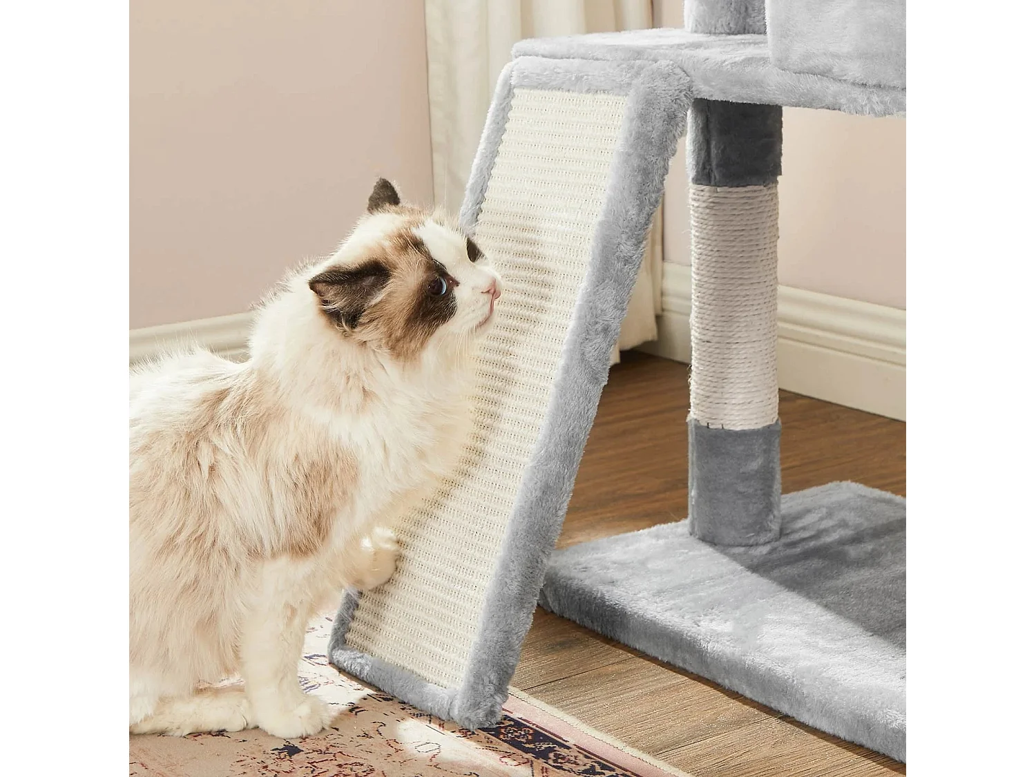 Arbre à chat Ganapavaram