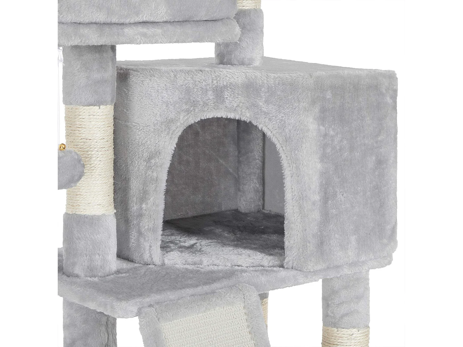 Arbre à chat Ganapavaram