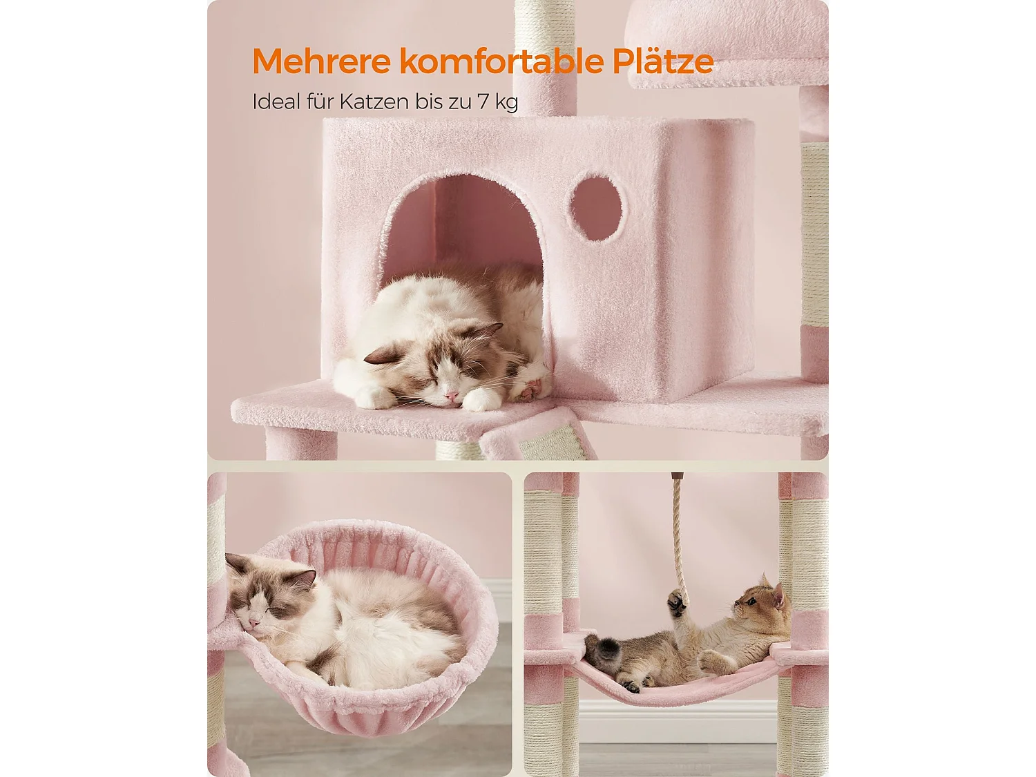 Tiragraffi Mandritsara