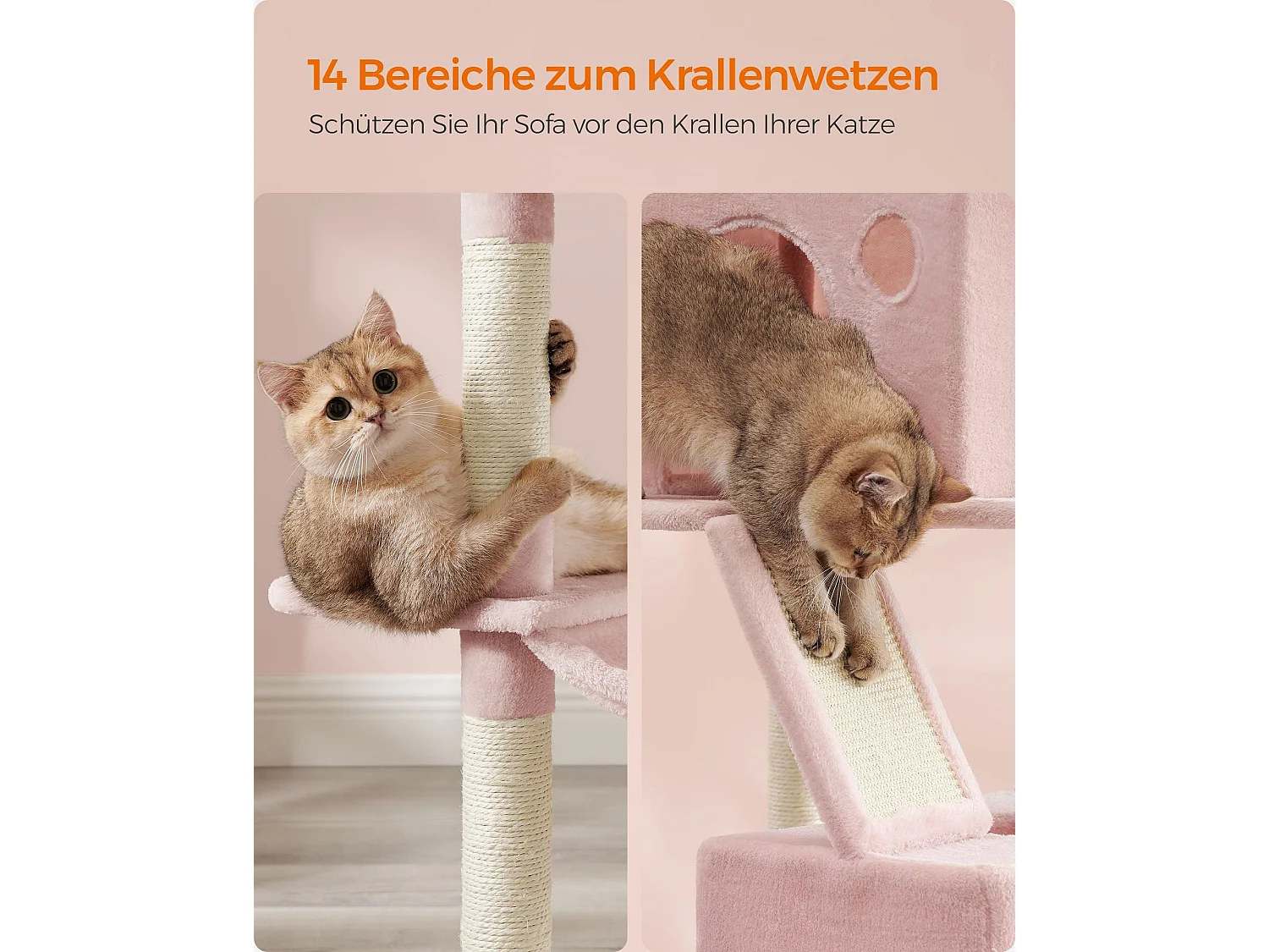 Tiragraffi Mandritsara