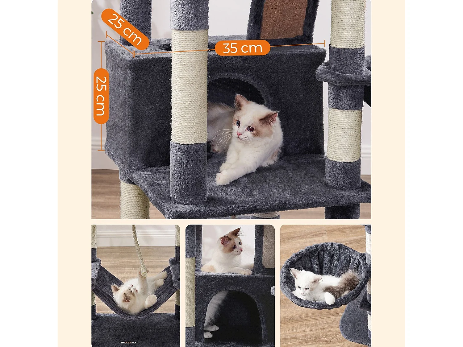 Katzenbaum Baduriatola