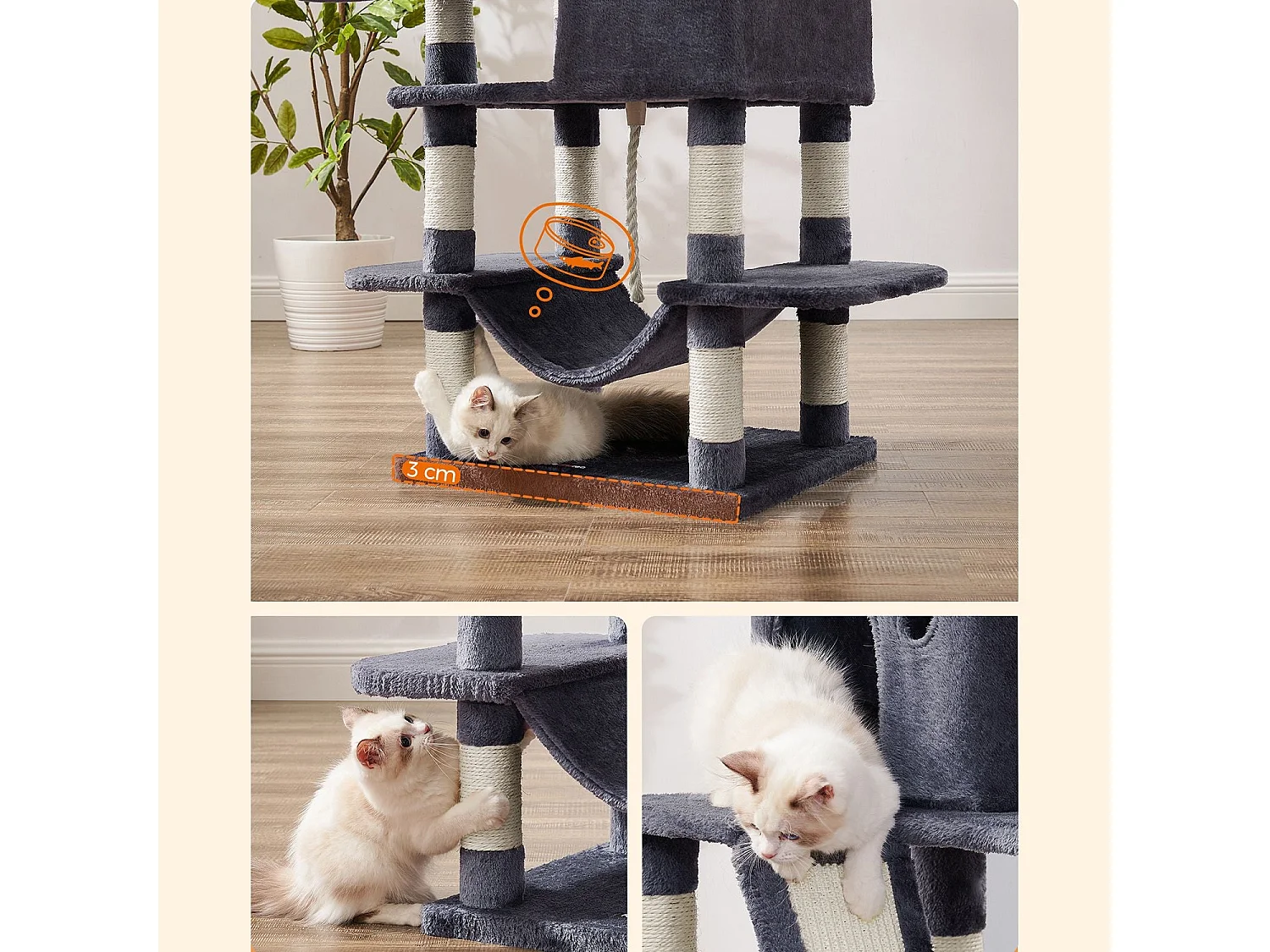 Katzenbaum Baduriatola