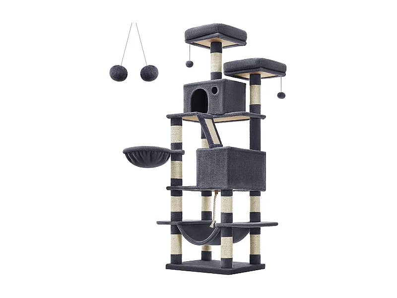 Katzenbaum Baduriatola