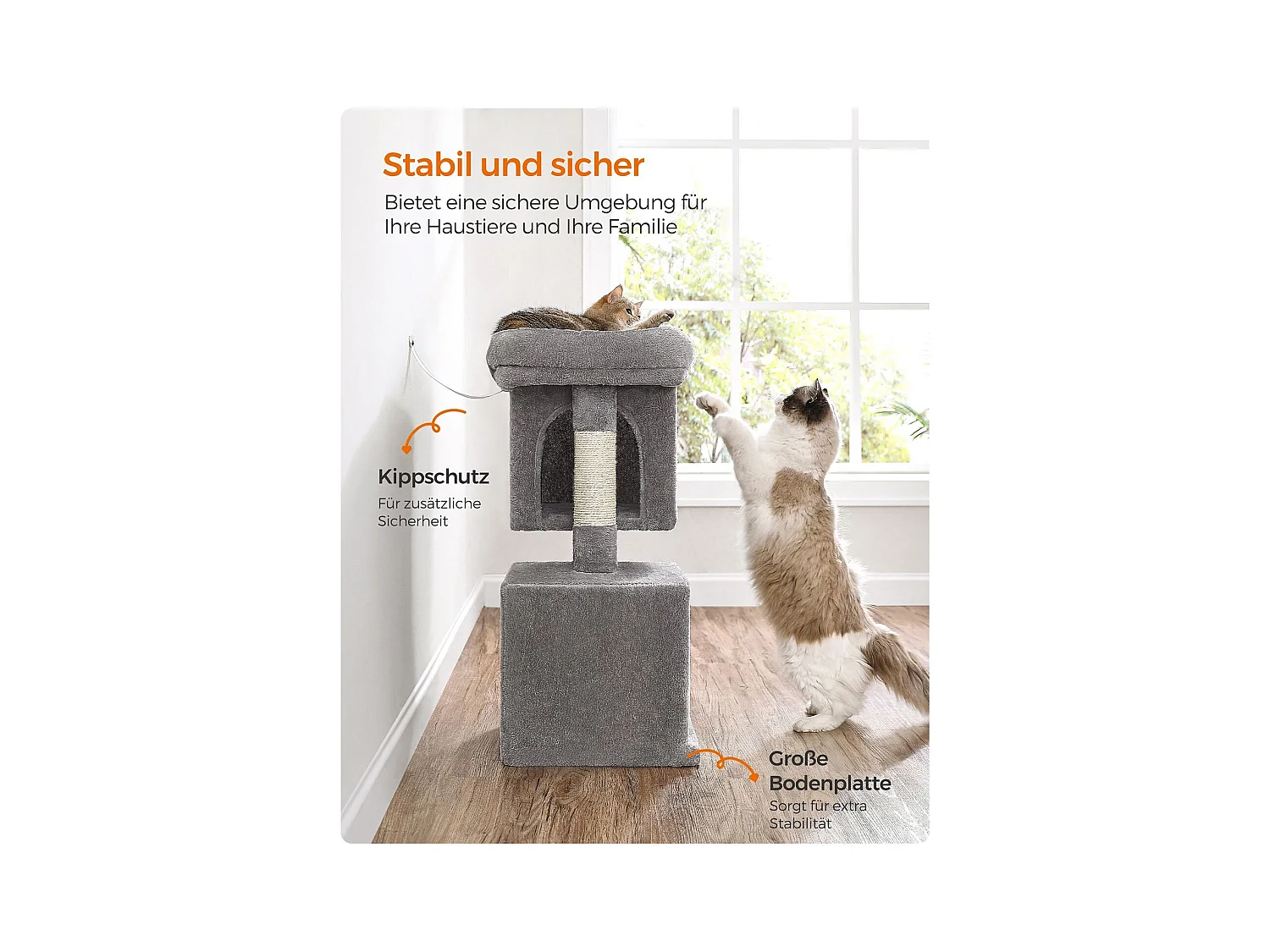 Katzenbaum Edattirutti