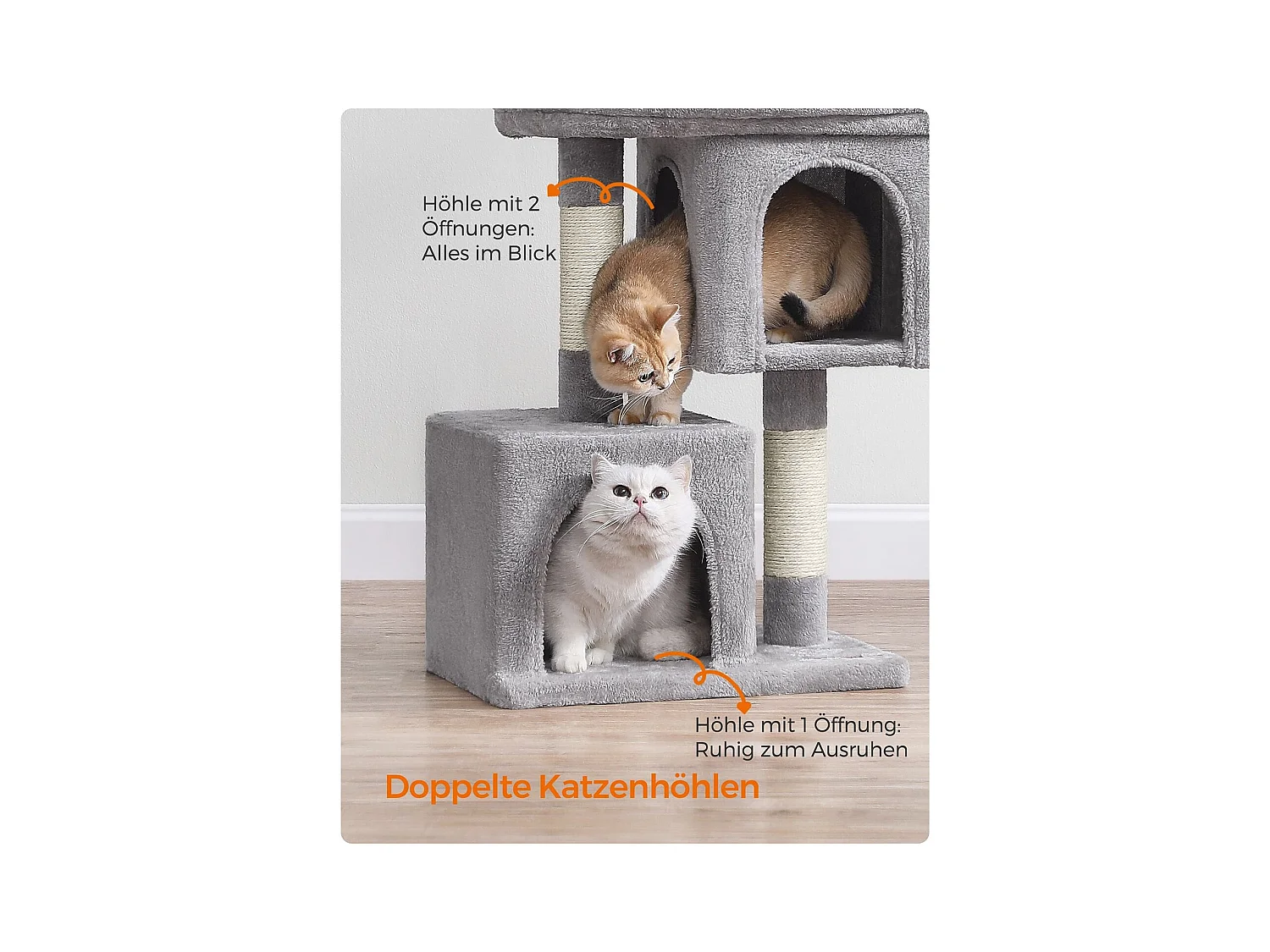 Katzenbaum Edattirutti