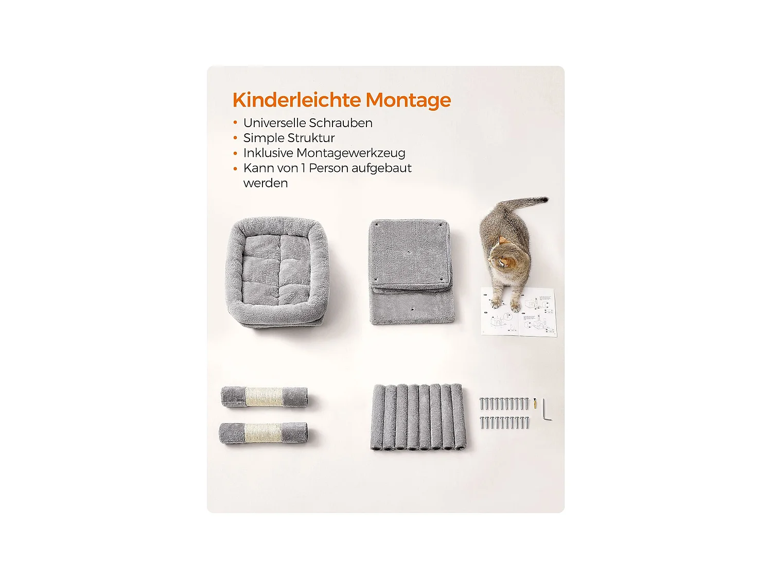 Katzenbaum Edattirutti