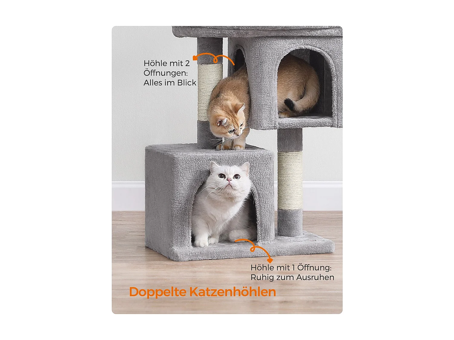 Arbre à chat Edattirutti