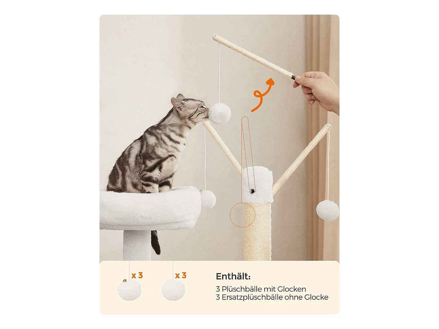 Kratzbaum Payyanpalli