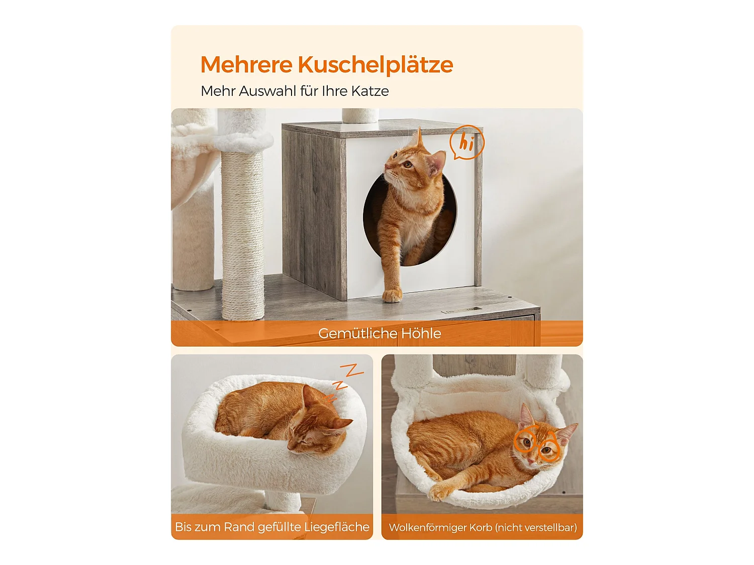 Kratzbaum Payyanpalli