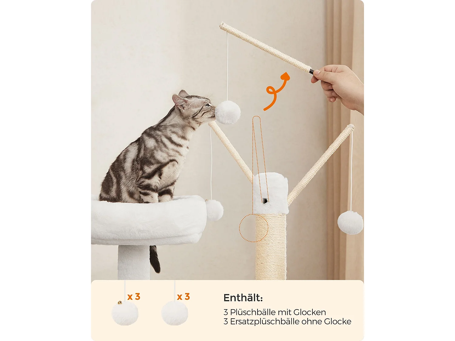 Kratzbaum Payyanpalli