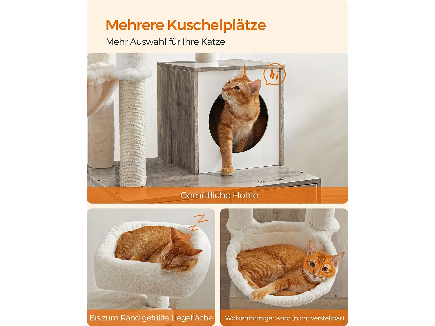 Kratzbaum Payyanpalli