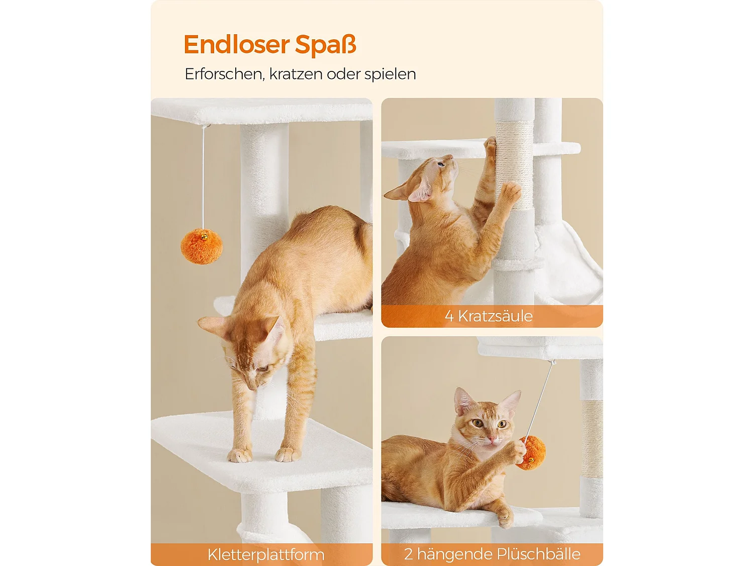 Albero per gatti Ganapavaram