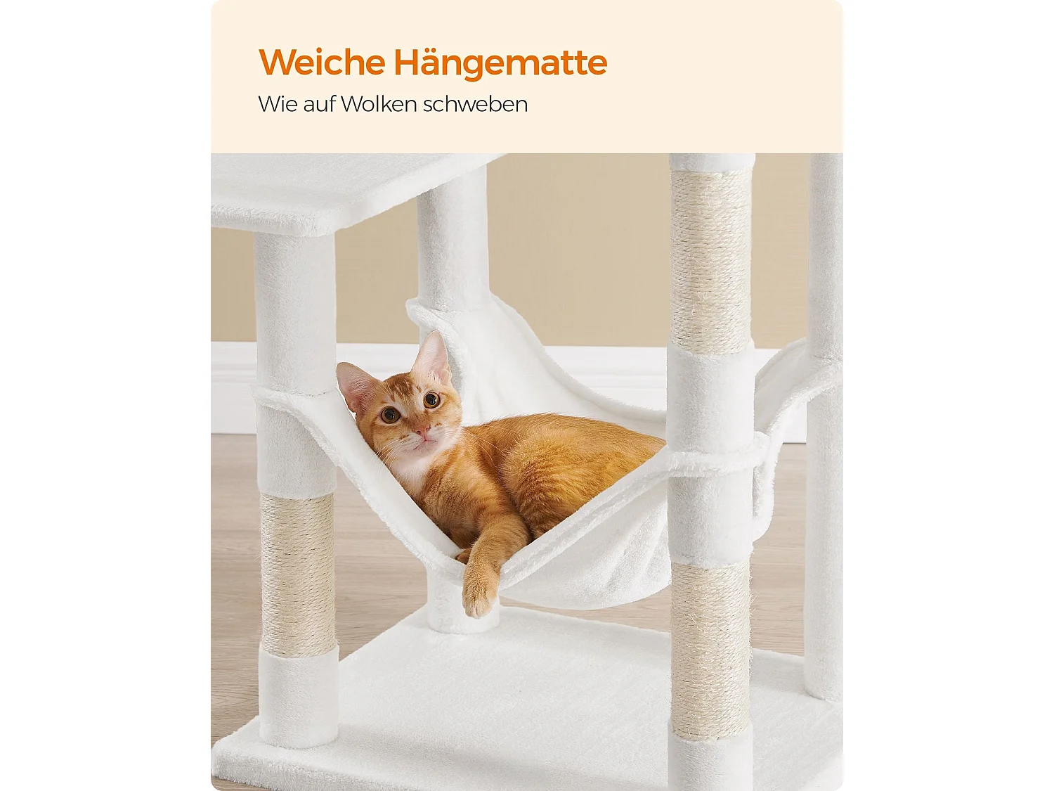 Albero per gatti Ganapavaram