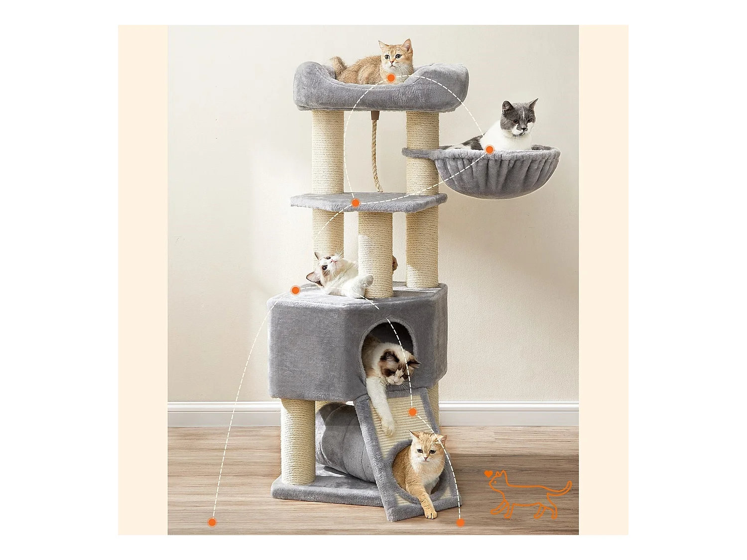 Katzenbaum Brazzaville