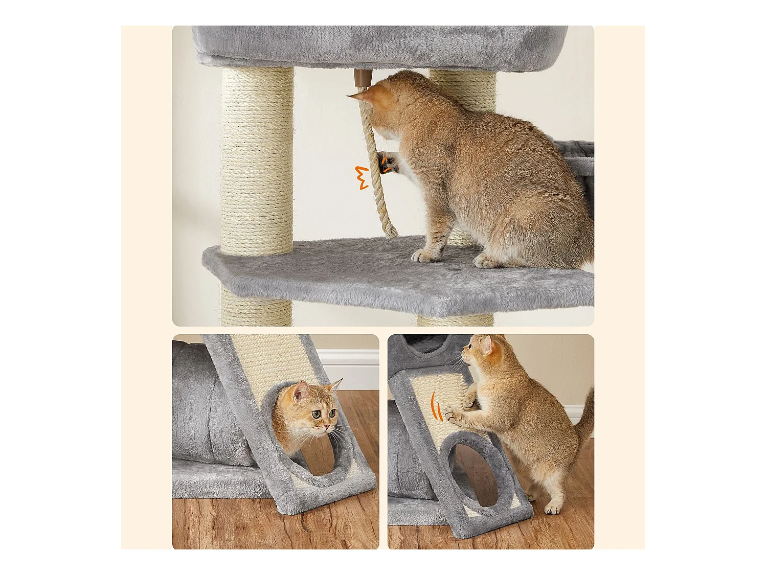 Katzenbaum Brazzaville