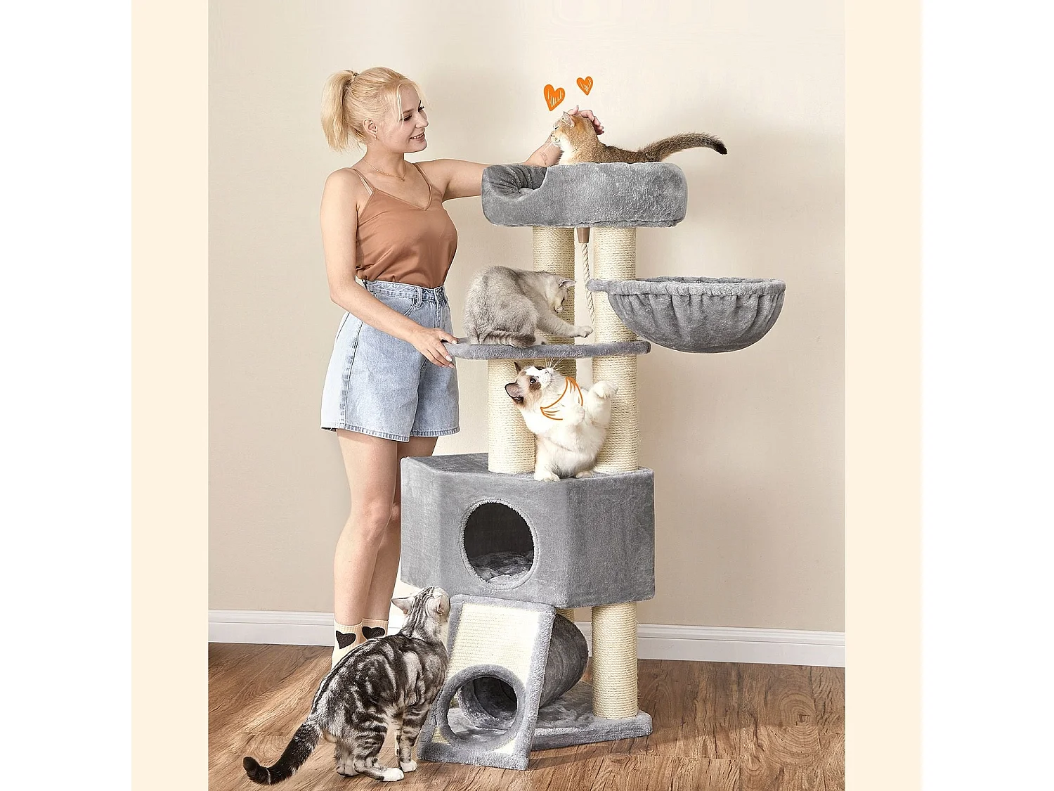 Katzenbaum Brazzaville