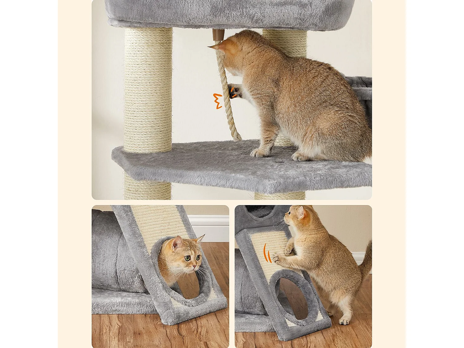 Katzenbaum Brazzaville