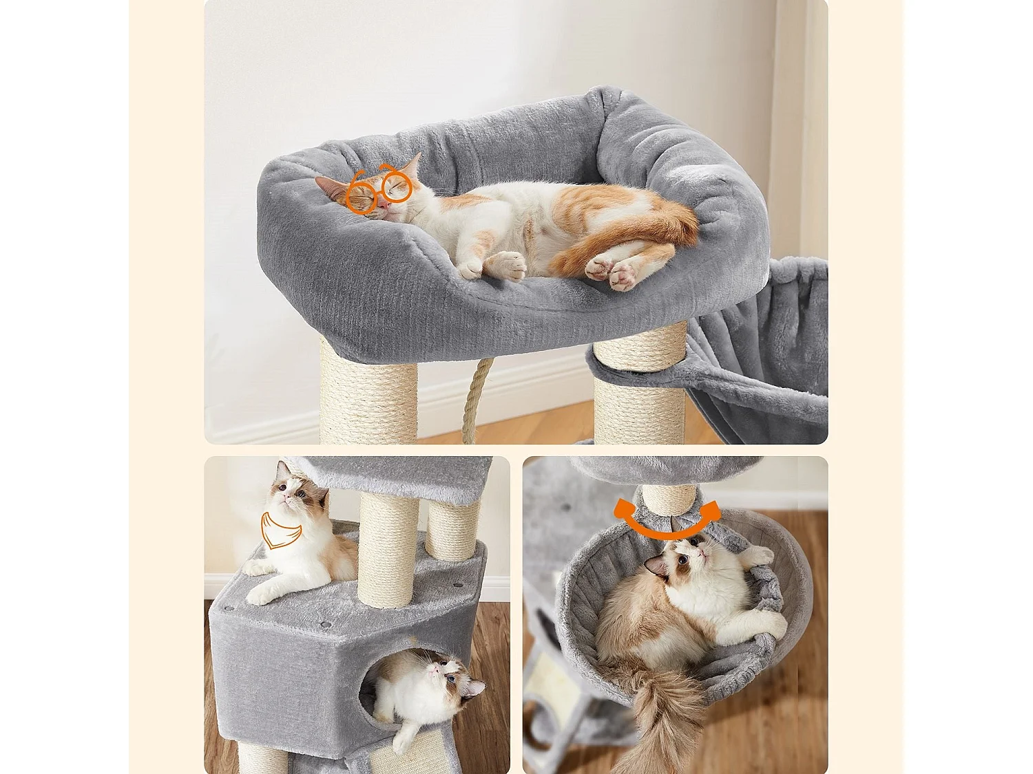 Katzenbaum Brazzaville