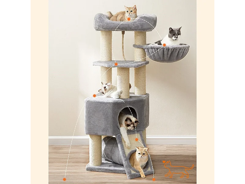 Katzenbaum Brazzaville