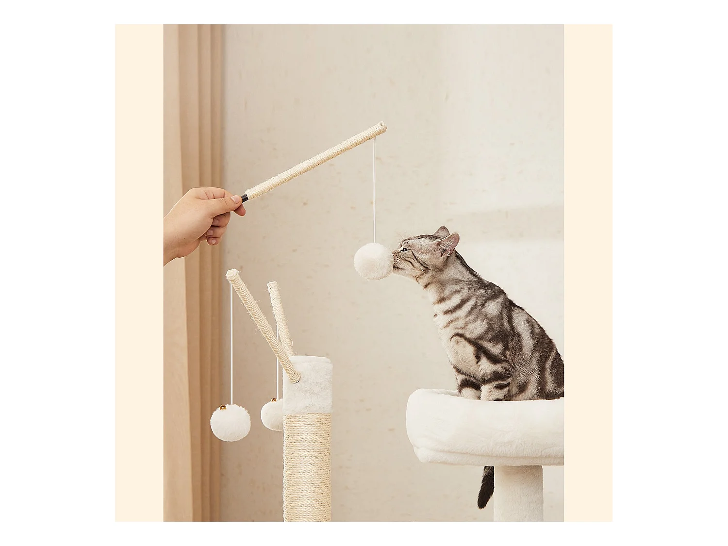 Kratzbaum Payyanpalli