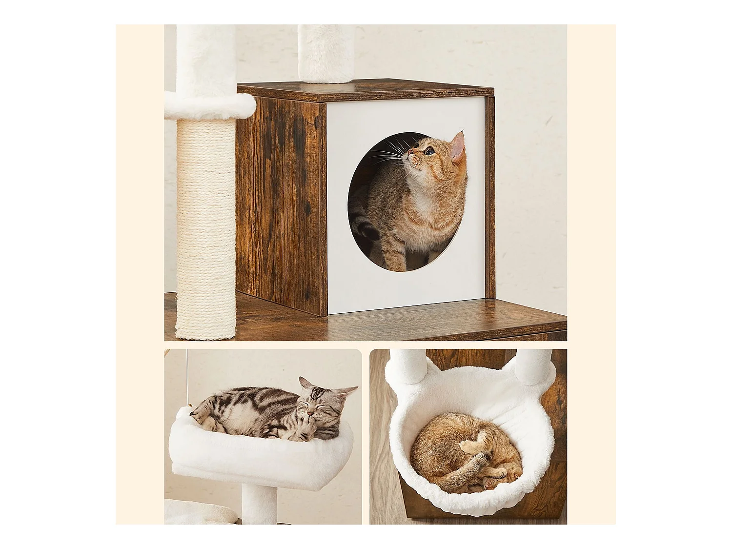 Kratzbaum Payyanpalli