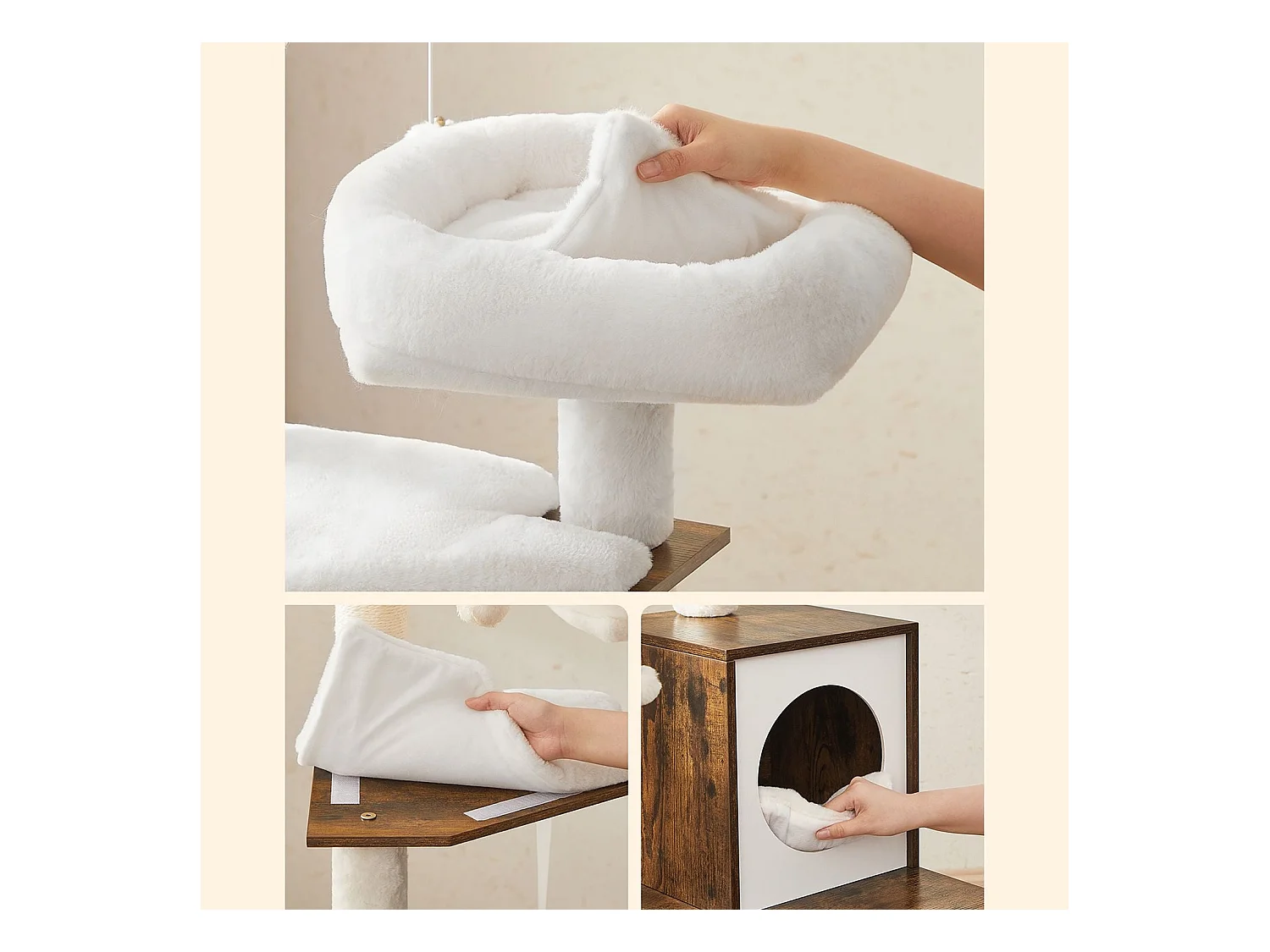 Kratzbaum Payyanpalli