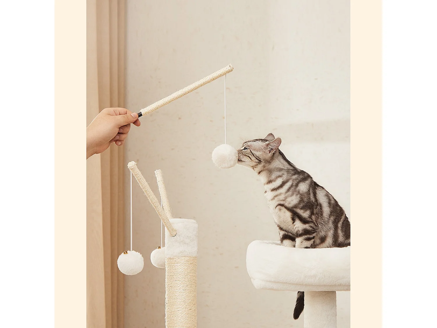 Kratzbaum Payyanpalli