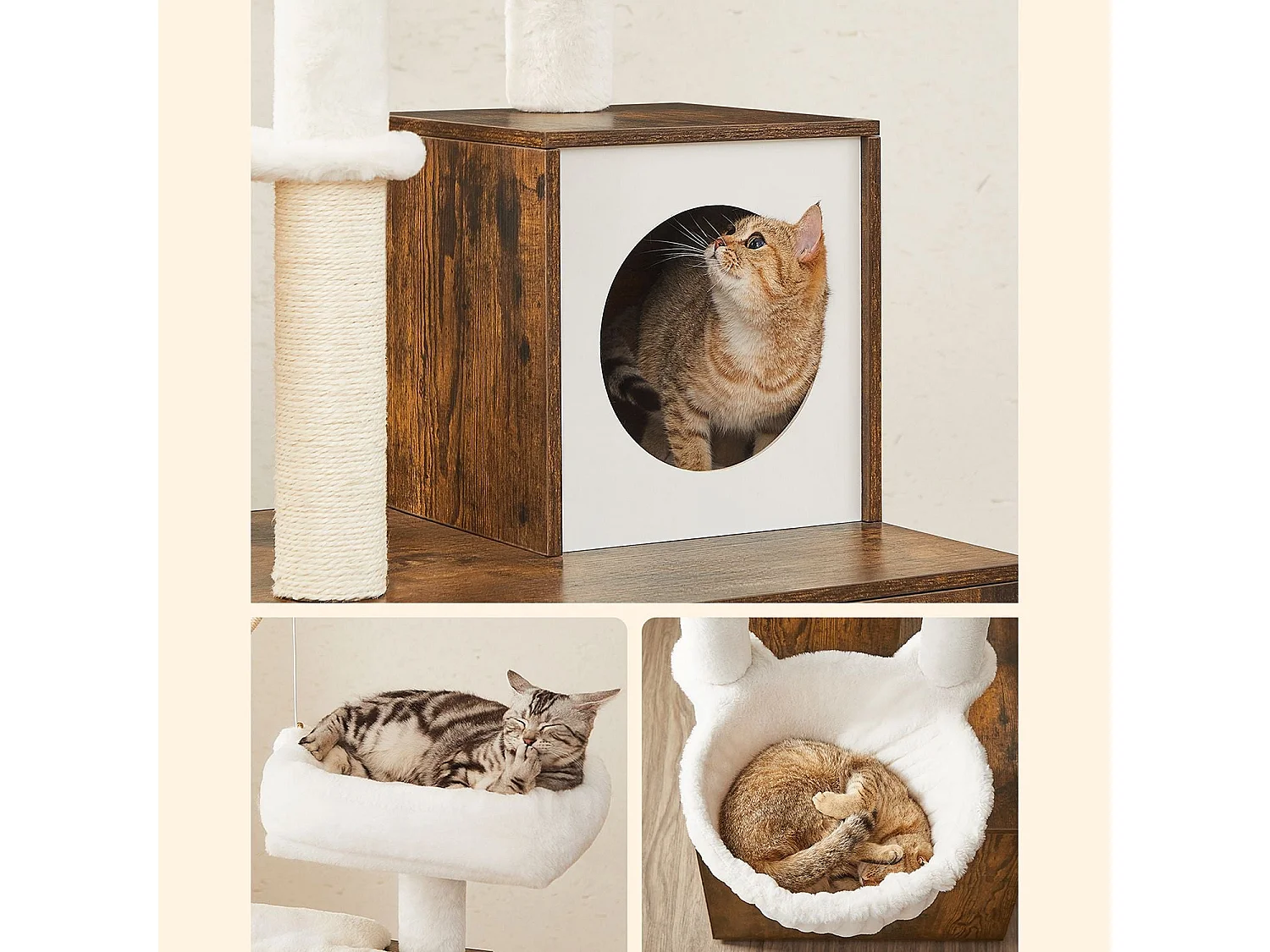 Kratzbaum Payyanpalli