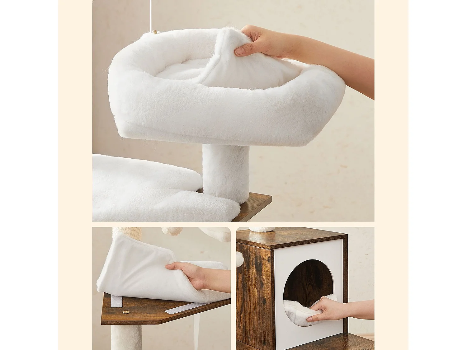 Kratzbaum Payyanpalli