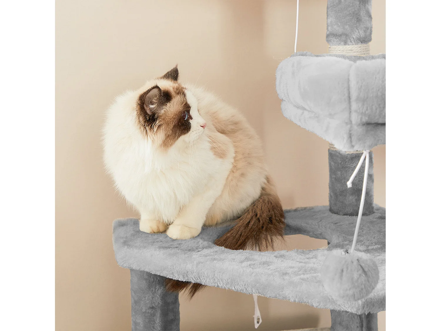 Katzenbaum Dedemsvaart