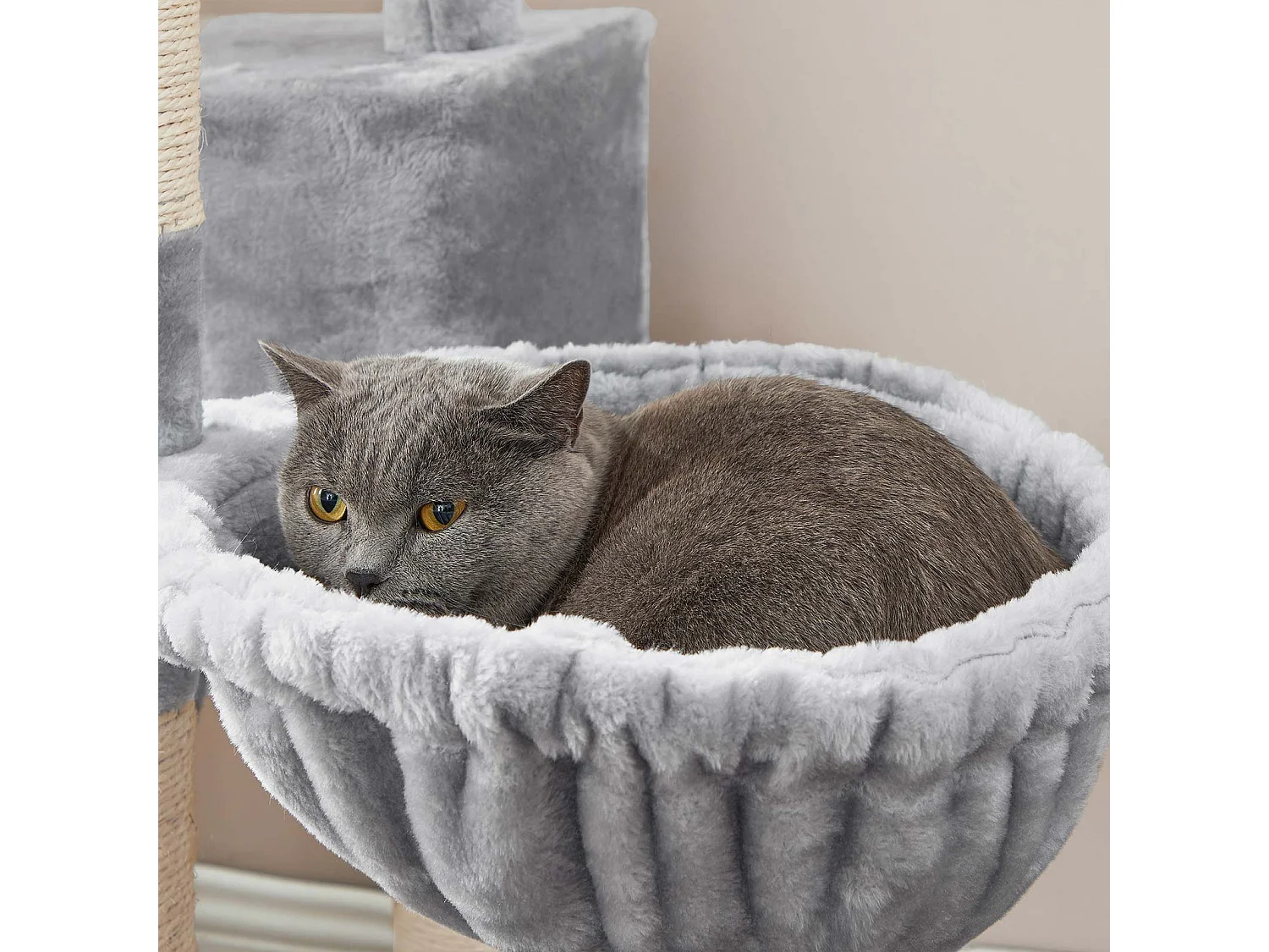 Katzenbaum Dedemsvaart