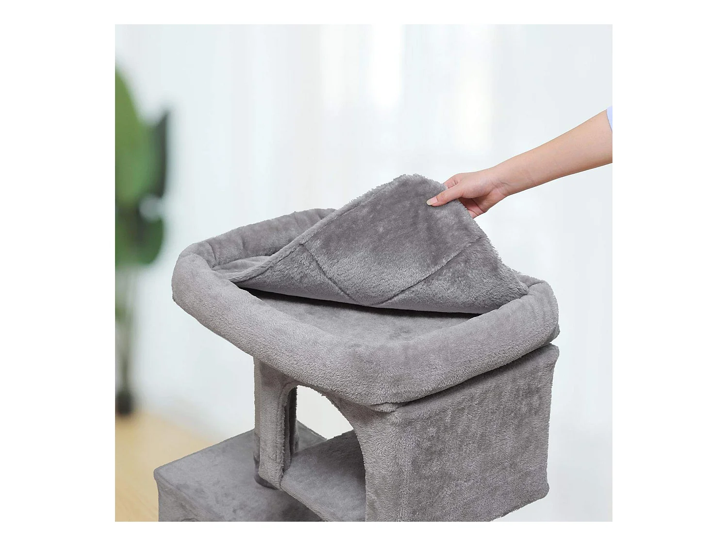 Katzenbaum Neunkirchen