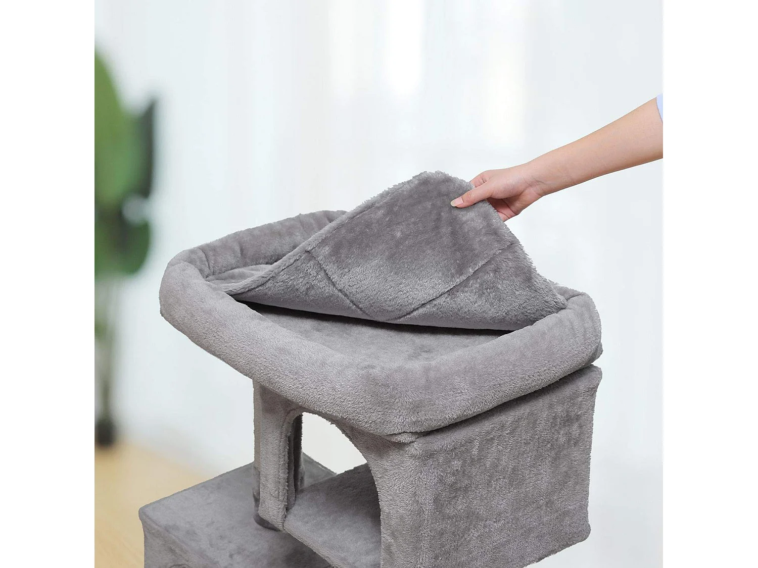 Katzenbaum Neunkirchen